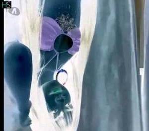 22 year old Mestizos Escort in Garanhuns Pernambuco in need of a hot and steamy virtual call? let me satisfy 