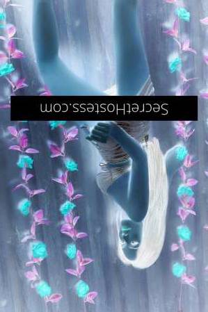 23Yrs Old Escort Sydney Image - 6