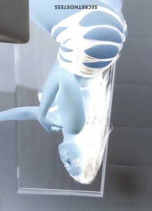 25Yrs Old Escort Brooklyn NY Image - 3