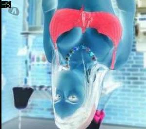 Perla Aguiar Delicious Brunette Escort for Unforgettable Fun in Espirito Santo