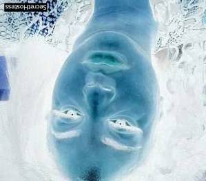 26 year old Escort in Milwaukee WI the one and only escort you need in Milwaukee