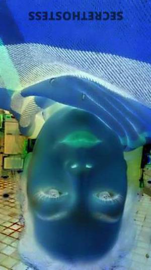BreAnnaLove 44Yrs Old Escort Tulsa OK Image - 4