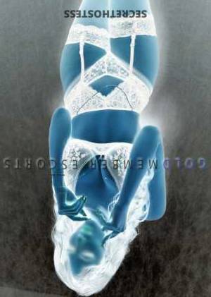 27 year old Central European Escort in Berlin Cecilia