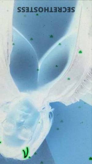 Dezzy 24Yrs Old Escort Spokane WA Image - 2