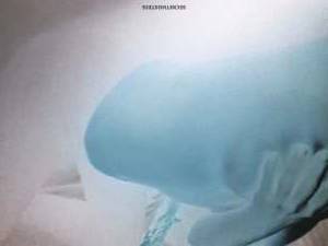 Julia 30Yrs Old Escort 57KG 160CM Tall Berlin Image - 3