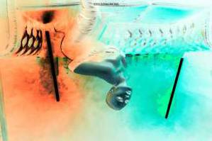 31 year old Central European Escort in Berlin Lady Electra