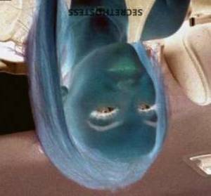 Lexi? 19Yrs Old Escort Galveston TX Image - 2