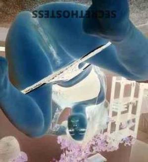 28Yrs Old Escort Daytona FL Image - 2