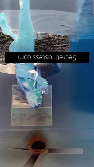 40 year old Escort in Virginia Brisbane Experience the Timeless Elegance and Charm of Ms. Gabrielle