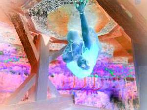 Diamond 20Yrs Old Escort Seattle WA Image - 5