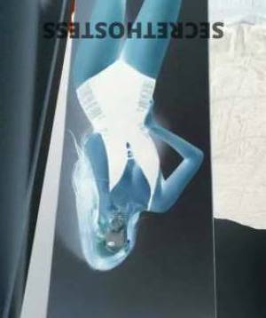 Kylie 22Yrs Old Escort Ballina Image - 1