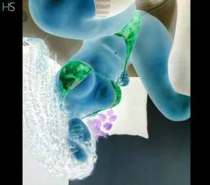 24 year old Brazilian Escort in Rochester Kent Unleash Your Wild Side with a Sexy Brazilian in Kent Lorena