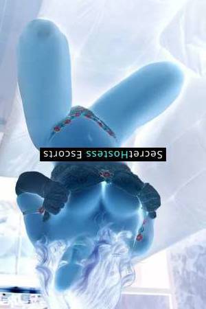 Sophie 26Yrs Old Escort 60KG 164CM Tall Split Image - 1