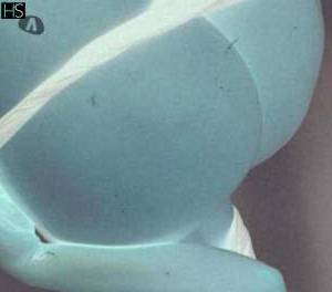 25 year old Latino Escort in Offaly East Coast and Midlands Experience Pleasure and Passion with Hot Escort Girl Jane