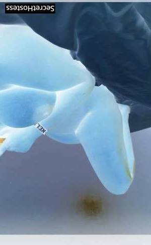27 year old Escort in Malmo "Unwind and indulge in the ultimate escape from stress 