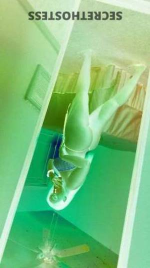 28Yrs Old Escort West Palm Beach FL Image - 1