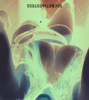 31 year old Escort in Sioux Falls SD Sexy 31-Year-Old Escort for Genuine Pleasure, Incalls, 