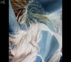 32 year old Escort in Dublin Erika, Your Flirtatious and Stunning 32-Year-Old Escort in 