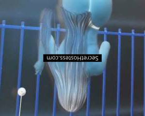 Camile 28Yrs Old Escort independent escort girl in: Rio de Janeiro Image - 1