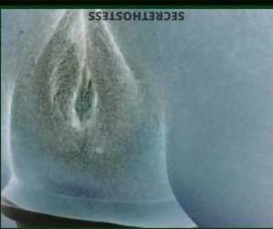 27 year old Escort in Cincinnati OH Hot Young Escort in Cincinnati Ready to Make Your Dreams 