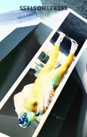 Coco 26Yrs Old Escort Seattle WA Image - 2