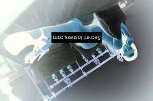 0 year old Escort in Paige Passionate Elegance, Deep Tissue, and special event &