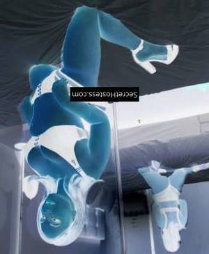 0 year old Escort in Exquisite Companion