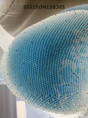 Hennessy 25Yrs Old Escort Gadsden AL Image - 1