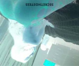 30 year old Escort in Staten Island NY I'm Kelly, A Hot And Sassy 30 Year Old Escort, Offering