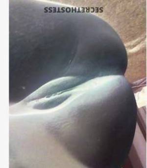 43 year old Escort in Muncie IN I'm Kelly, Your Naughty Little Slut Hot and Adventurous
