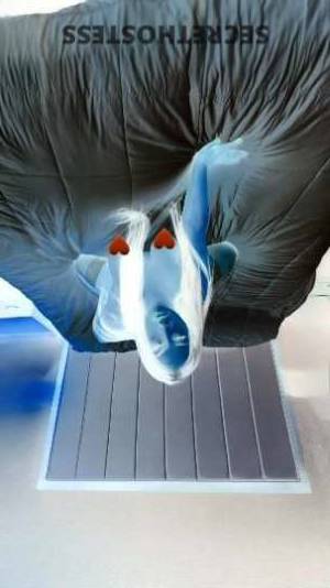 27 year old Escort in Knoxville TN Unwind With Me, Kylie K., The Irresistible Exotic Curvy 