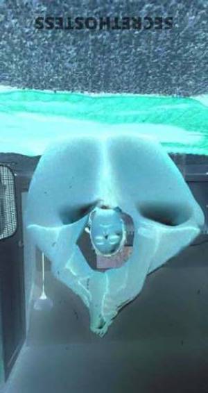 Olivia 26Yrs Old Escort Dayton OH Image - 2