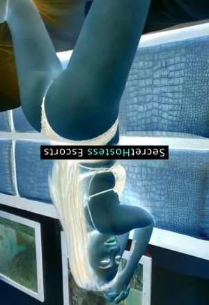 Rose 25Yrs Old Escort 49KG 169CM Tall Doha Image - 3