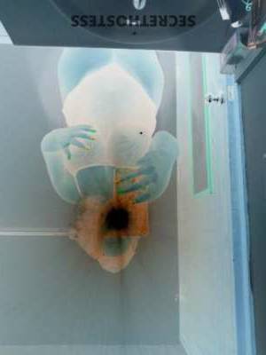 Tierra 34Yrs Old Escort Springfield MO Image - 3