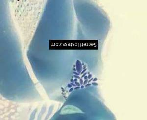0 year old Escort in Tiffany Fox An Exquisite Companion