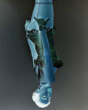 21Yrs Old Escort 175CM Tall Istanbul Image - 4