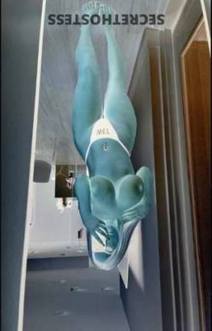 Perla 26Yrs Old Escort Springfield IL Image - 1