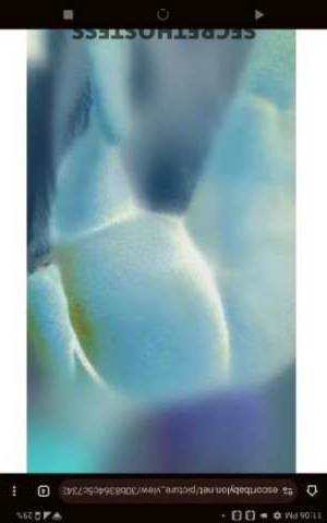 THEEREALKAYKEY 24Yrs Old Escort Danville VA Image - 4