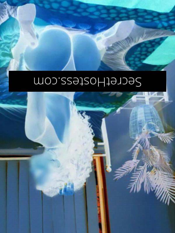 26Yrs Old Escort Size 10 60KG 170CM Tall Sydney Image - 7