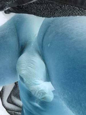 20Yrs Old Escort Bellingham WA Image - 10
