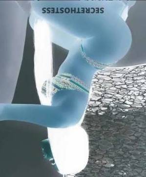 23 year old Colombian Escort in Albany NY New Colombian latina near, call me pappi for fun