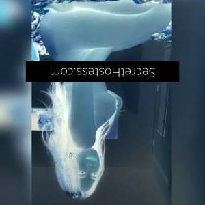25 year old Asian Escort in Bowden Adelaide 25Yrs Old Asian Escort C Cup Adelaide