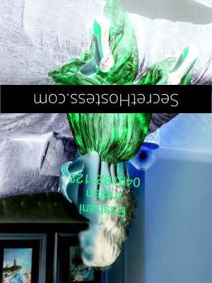 26Yrs Old Escort Size 10 60KG 170CM Tall Sydney Image - 19