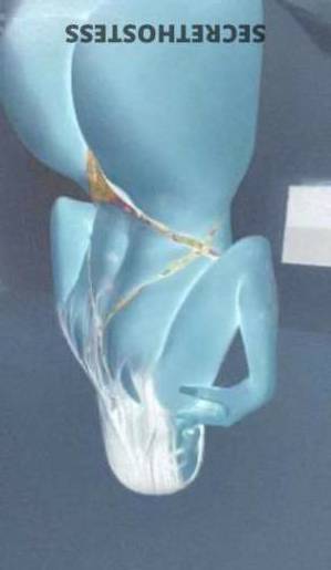 30 year old Colombian Escort in Treasure Coast FL Indulge in a Memorable Adventure with the Webmail Order 