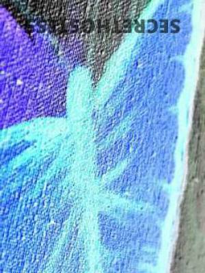 35 year old Australian Escort in Applecross Perth Experience Unforgettable Erotic Pleasure with 