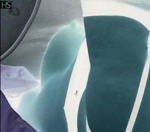 44 year old Irish Escort in Louth East Coast and Midlands Satisfying Secretary spouse