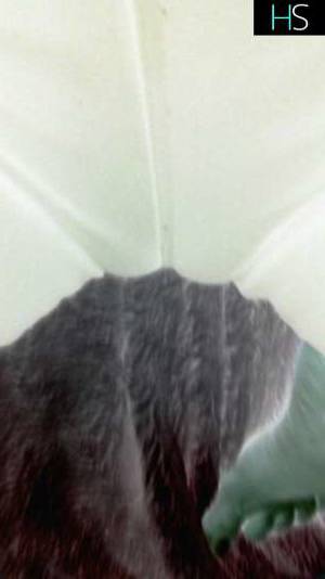 45Yrs Old Escort 170CM Tall Owen Sound Image - 3