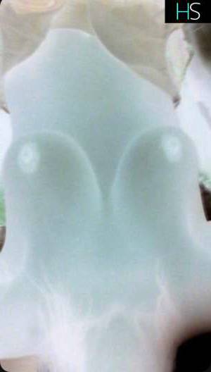 45Yrs Old Escort 170CM Tall Owen Sound Image - 6