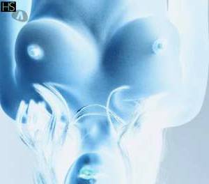 27 year old Latino Escort in Dublin Massage and escort