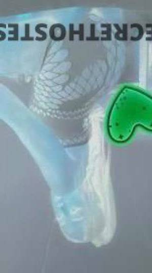 Serenity 28Yrs Old Escort Flint MI Image - 1